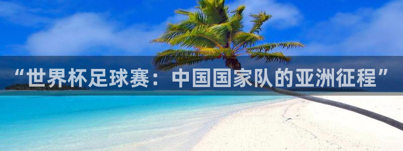 意昂平台登录入口最新版本介绍：“世界杯足球赛：中国国家队的亚