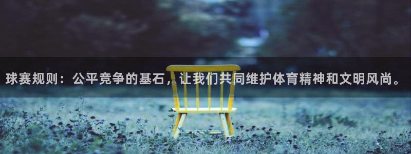 意昂体育网页登录入口入口官网网页版：球赛规则：公平竞争的基石