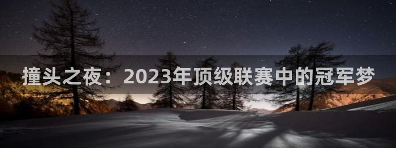 意昂平台：撞头之夜：2023年顶级联赛中的冠军梦