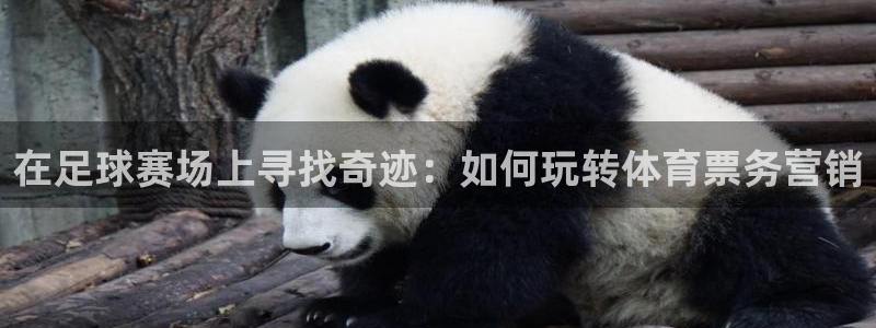 意昂体育app正版下载安装：在足球赛