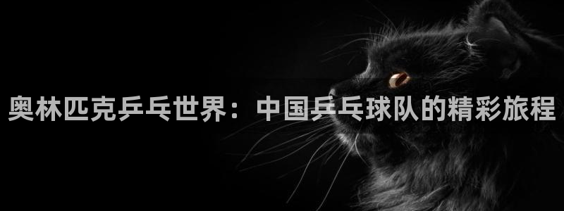 意昂官网入口登录：奥林匹克乒乓世界：