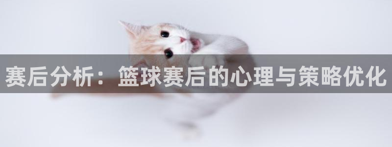意昂体育官网