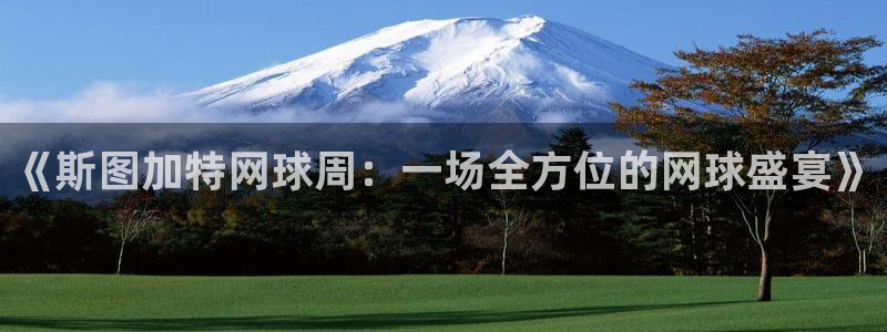 意昂平台：《斯图加特网球周：一场全方位的网球盛宴》