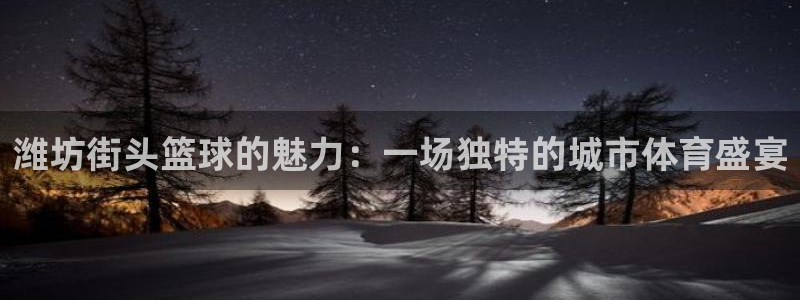 意昂平台官网：潍坊街头篮球的魅力：一