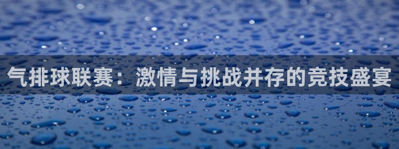  意昂平台登录入口最新版本介绍：气排球联赛：激情与挑战并存的竞