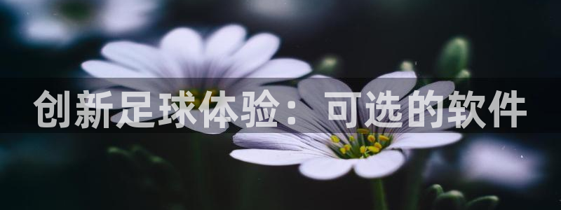 意昂平台登录方法：创新足球体验：可选的软件