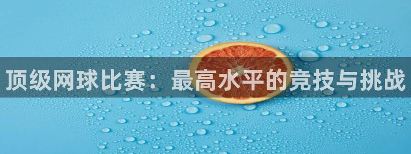 意昂平台登录入口最新版本介绍：顶级网