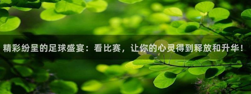  意昂体育app正版下载官网：精彩纷呈的足球盛宴：看比赛，让你