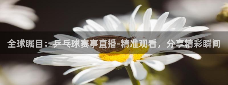  意昂平台：全球瞩目：乒乓球赛事直播-精准观看，分享精彩瞬间