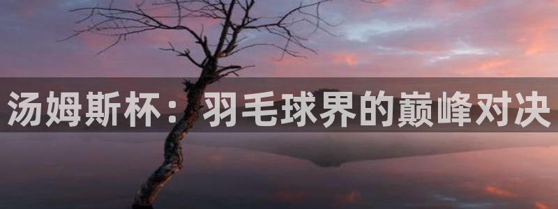 意昂体育app正版下载官网：汤姆斯杯